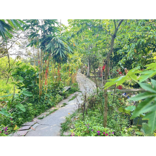 Không gian gần gũi với thiên nhiên